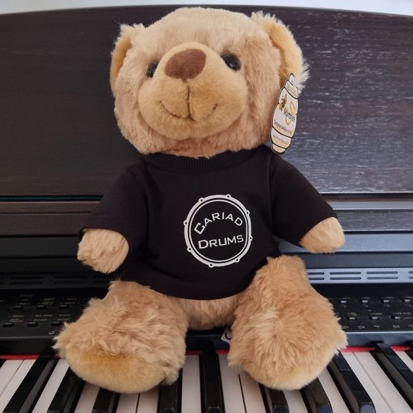 Cariad Black Teddy Bear