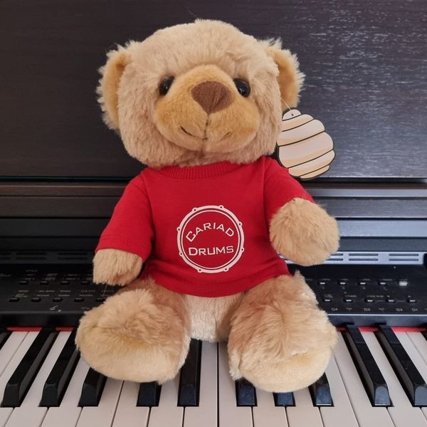 Cariad Red Teddy Bear 