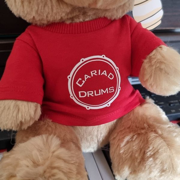 Cariad Red Teddy Bear 