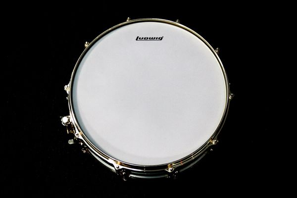 Ludwig Carl Palmer Venus 14” x 3.7” Signature Snare Drum